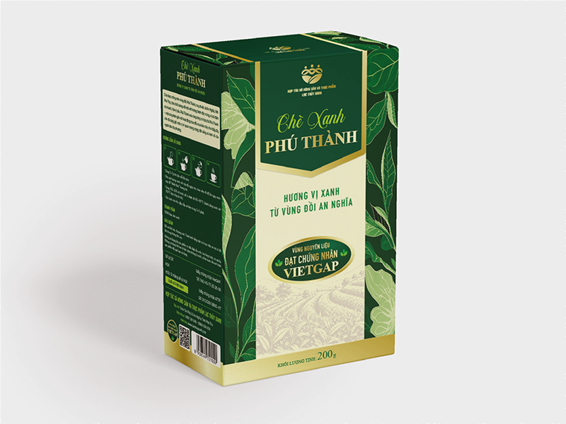 Trà xanh đặc sản Phú Thành